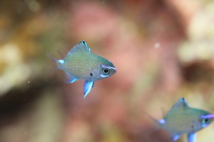 s-IMG_5860