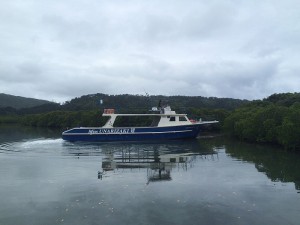 IMG_3848