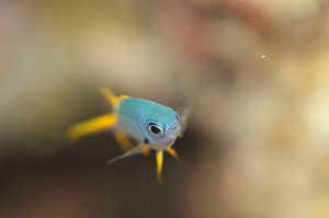 IMG_5329
