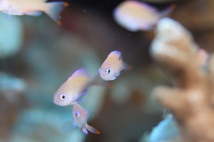 IMG_5767