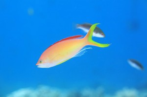 IMG_6123
