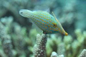 IMG_6603