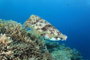 s-IMG_5654