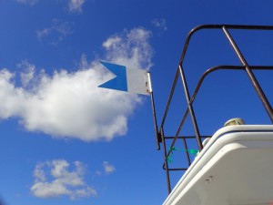 s-P7241215