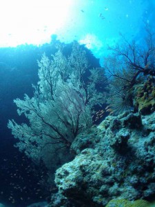 s-P7241247