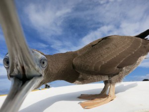 s-IMG_2328