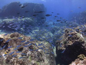 s-IMG_3290