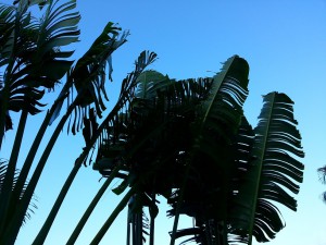 20170802_072705