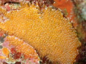P3245802