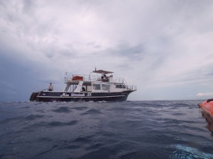 IMG_2780