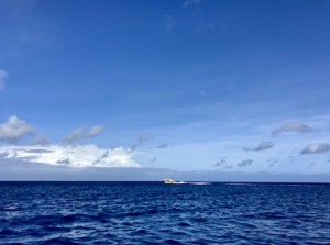 IMG_3795