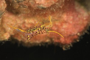 IMG_4891