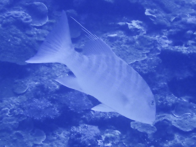 P9280396