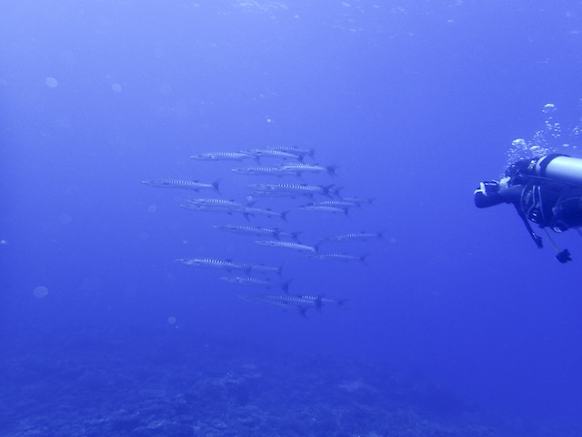 P9282803